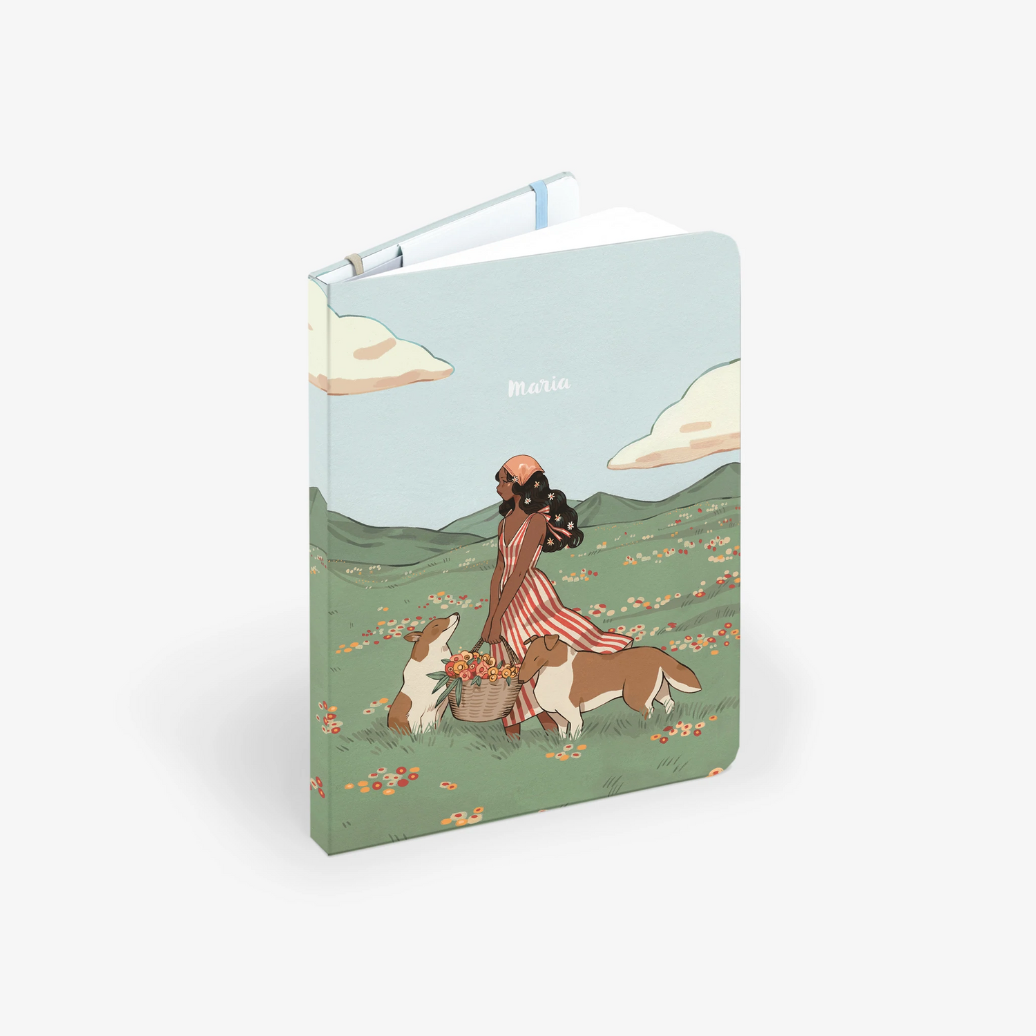 Spring Collies Light Cover