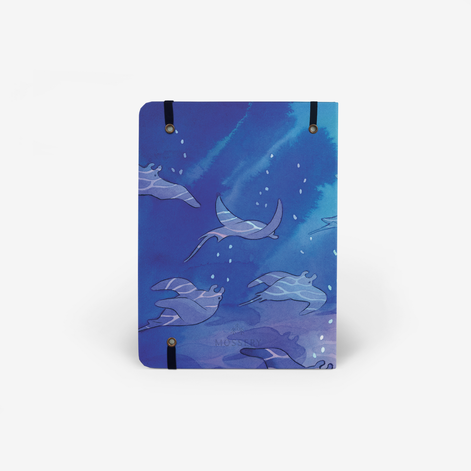 Shallows Threadbound Notebook