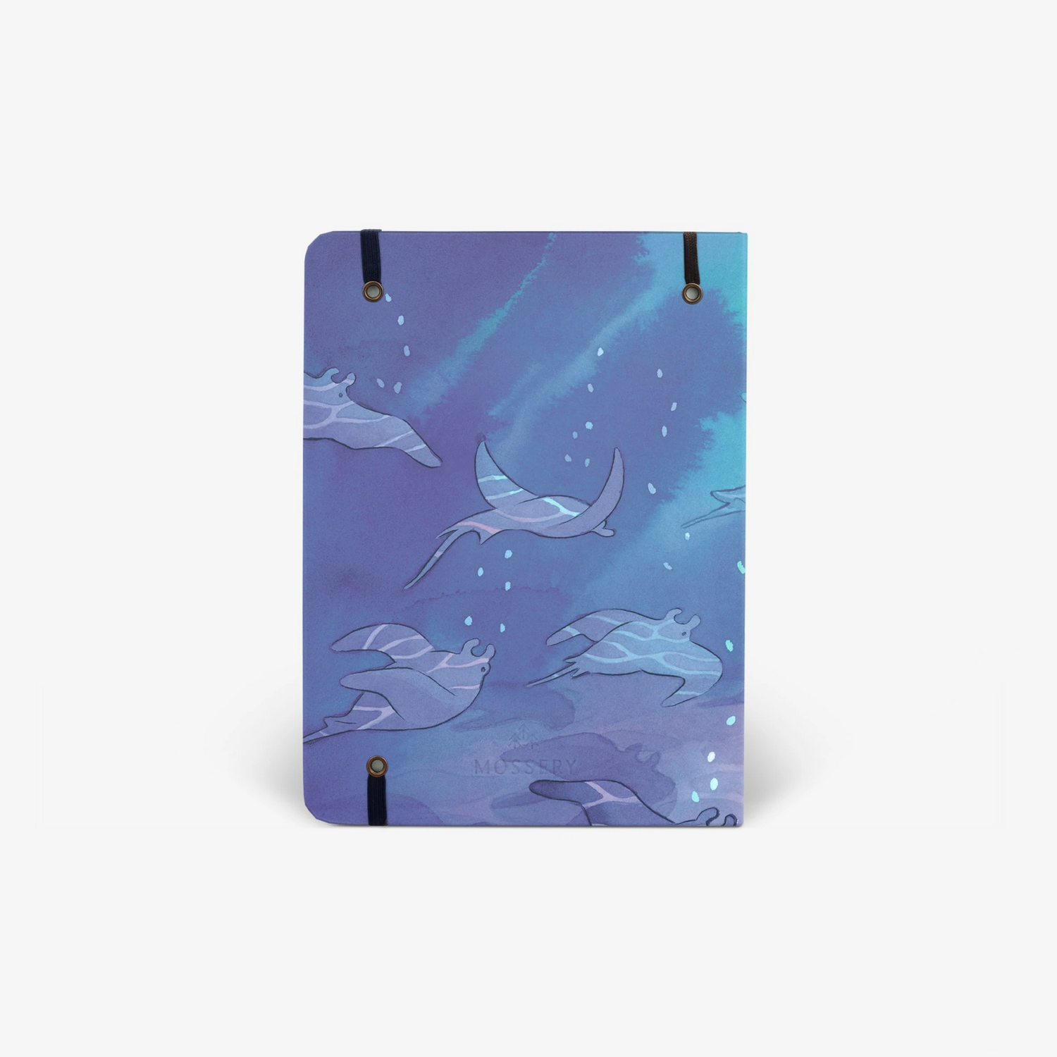 Shallows Twinbook