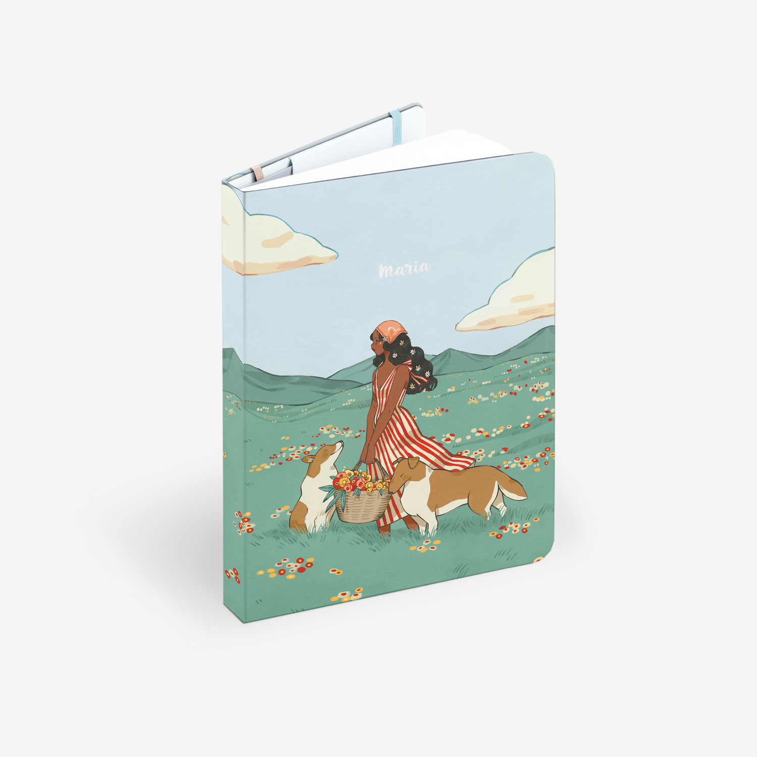 Spring Collies Light Cover