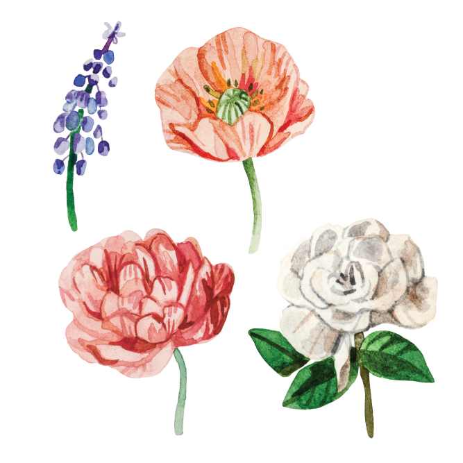 Artist Series Stickers: Poppy, Magnolia, Peony, Muscari (STC-504)