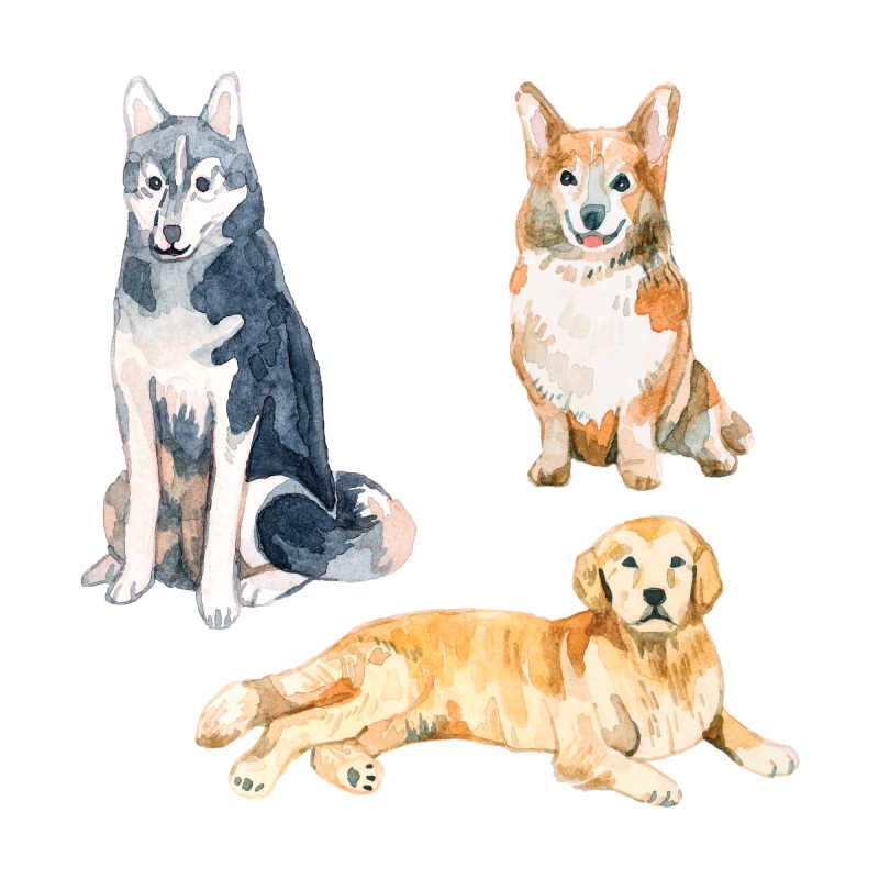 Artist Series Stickers: Dogs (STC-513)