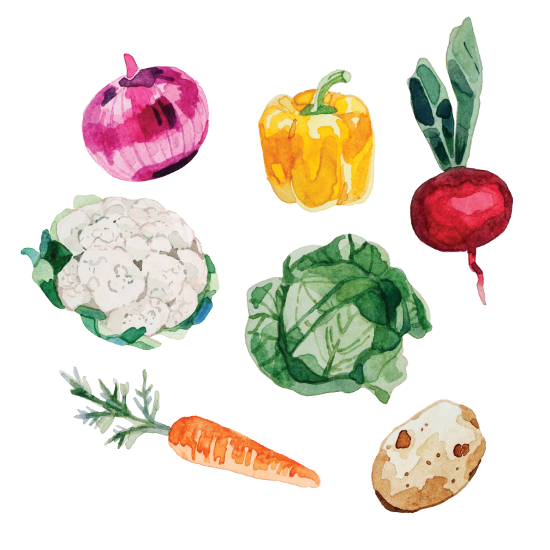 Artist Series Stickers: Vegetables (STC-516)