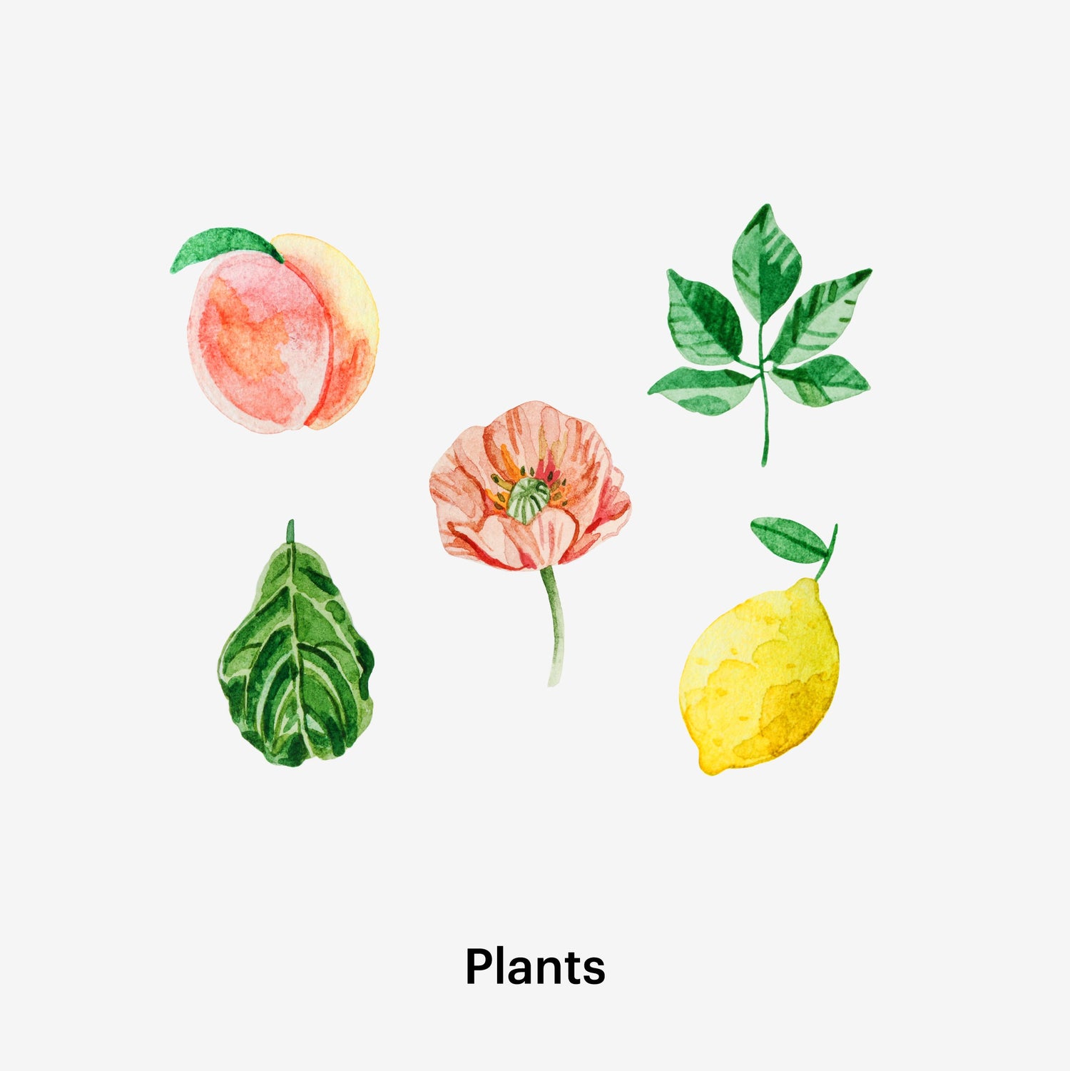 Plants Sticker Pack